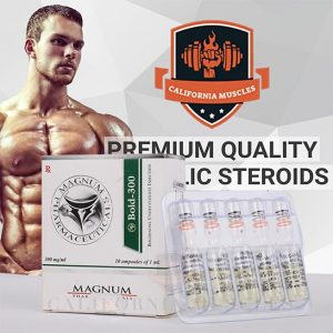 Magnum Bold 300 for sale in california