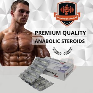 droscot on californiamuscles.shop