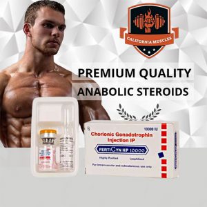 FERTIGYN HP 10000 on californiamuscles.shop