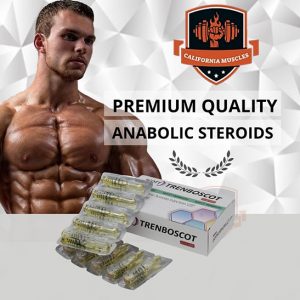 trenboscot on californiamuscles.shop