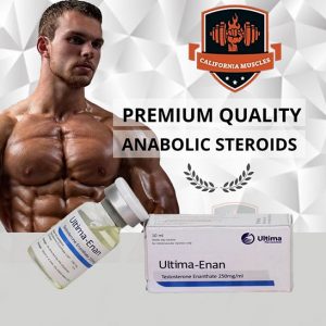 Ultima-Enan on californiamuscles.shop
